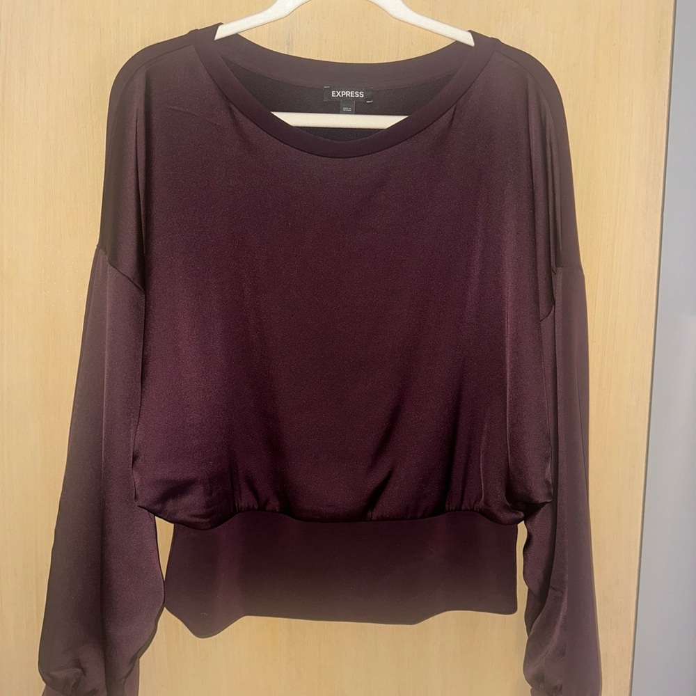 Express Women's Elegant Plum Blouse